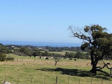Farm Sold - VIC - Walkerville - 3956 - Panoramic views, productive pasture  (Image 2)