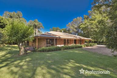 Farm Sold - VIC - Cardross - 3496 - Lifestyle Property on 2.3 Acres  (Image 2)
