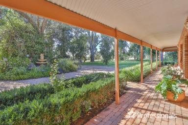 Farm Sold - VIC - Cardross - 3496 - Lifestyle Property on 2.3 Acres  (Image 2)