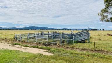 Farm Sold - NSW - Gunnedah - 2380 - "Part Daisy Plains" - Gunnedah NSW  (Image 2)