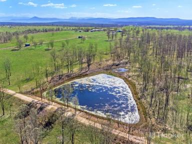 Farm Sold - QLD - Lower Mount Walker - 4340 - 90 ACRE PRIVATE HORSE PROPERTY WITH 360 DEGREE VIEWS  (Image 2)