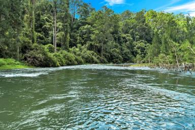 Farm Sold - NSW - Bellingen - 2454 - A Rare and Beautiful Property...  (Image 2)