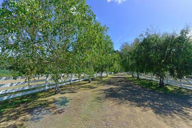 Farm Sold - TAS - Forcett - 7173 - Stop searching for your acreage dream, you've found it!  (Image 2)