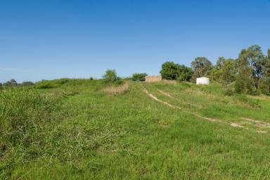 Farm Sold - QLD - Pink Lily - 4702 - Outstanding prospect for close to town; Agricultural Shed Only  (Image 2)