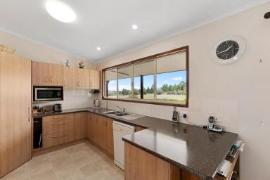 Farm Sold - QLD - Mungar - 4650 - Lifestyle Property  (Image 2)