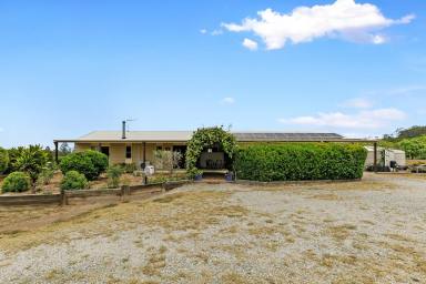 Farm Sold - QLD - Mungar - 4650 - Lifestyle Property  (Image 2)