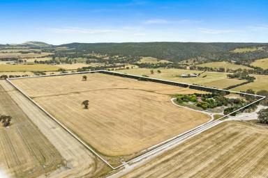 Farm Sold - VIC - Staughton Vale - 3340 - Exemplary Rural Living  (Image 2)
