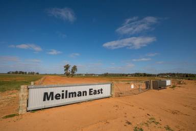 Farm Sold - NSW - Euston - 2737 - Meilman East Station - MURRAY RIVER COUNTRY  (Image 2)