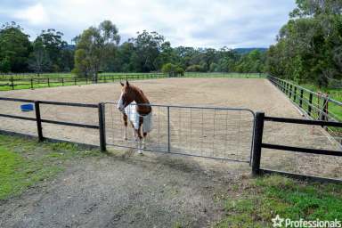 Farm Sold - VIC - Yarra Junction - 3797 - SUPERB COUNTRY LIVING ON OVER 10 ACRES  (Image 2)