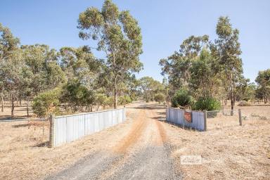Farm Sold - VIC - Edenhope - 3318 - Self-Sufficient Living On 56 Acres  (Image 2)