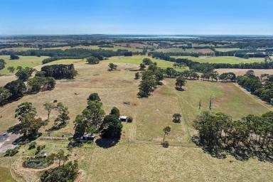 Farm Sold - VIC - Barongarook West - 3249 - Magnificent Barongarook West Grazing Country  (Image 2)