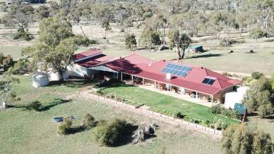 Farm Sold - NSW - Cooma - 2630 - Welcome to a family perfect property!!  (Image 2)