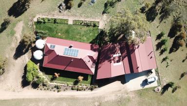 Farm Sold - NSW - Cooma - 2630 - Welcome to a family perfect property!!  (Image 2)