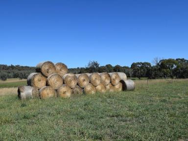 Farm Sold - NSW - Blakney Creek - 2581 - Massimo Park  (Image 2)