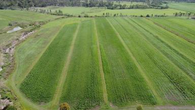 Farm Sold - QLD - McIlwraith - 4671 - 48.7 hectares. (nearly 120 acres) & 30mg dam + 38 mgs allocation  (Image 2)