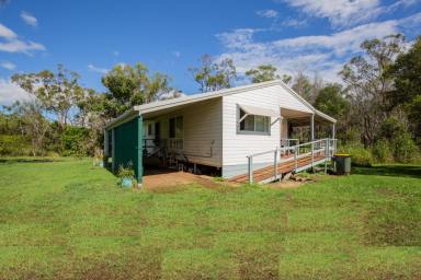 Farm Sold - QLD - Alloway - 4670 - 2 HOUSES, 2.47 ACRES, LOADS OF SHED SPACE AND NO NEIGHBOURS  (Image 2)