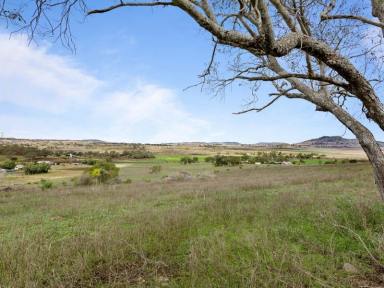 Farm Sold - QLD - Gowrie Junction - 4352 - Perfect for your dream home!  (Image 2)