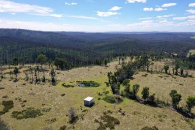 Farm Sold - VIC - Sarsfield - 3875 - Magnificent lifestyle property with Nicholson River frontage.  (Image 2)