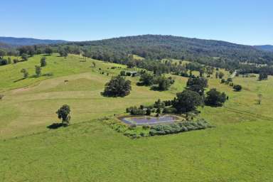 Farm Sold - NSW - Kyogle - 2474 - "HILLVIEW"  (Image 2)