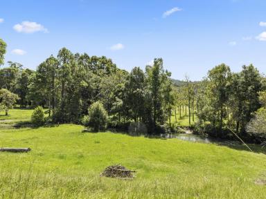 Farm Sold - NSW - North Boambee Valley - 2450 - Create Your Own Tranquil Paradise.  (Image 2)