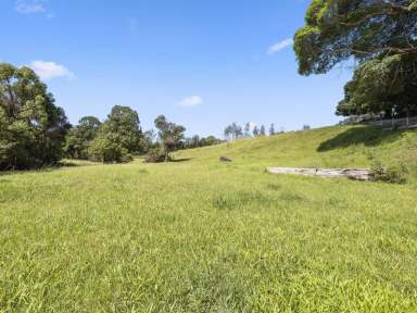 Farm Sold - NSW - North Boambee Valley - 2450 - Create Your Own Tranquil Paradise.  (Image 2)