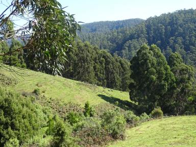 Farm Sold - VIC - Apollo Bay - 3233 - Self-sufficient living in the Otways  (Image 2)