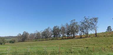 Farm Sold - QLD - Childers - 4660 - 12.57Ha picturesque Hobby Farm situated on the Bruce Highway Childers  (Image 2)