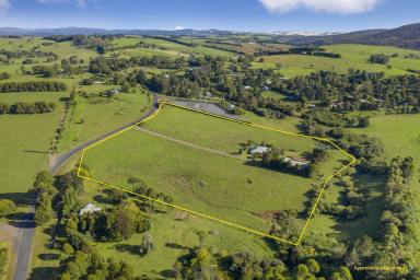 Farm Sold - NSW - Dorrigo - 2453 - 14 ACRES ON EDGE OF TOWN WITH SUBSTANTIAL INFRASTRUCTURE & CREEK FRONTAGE.  (Image 2)
