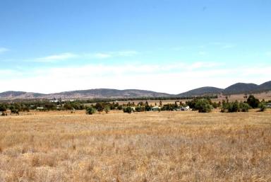 Farm Sold - NSW - Werris Creek - 2341 - 9.4 ACRES WITH PICTURESQUE VIEWS  (Image 2)