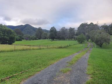 Farm Sold - NSW - Bonville - 2450 - The Perfect Country Lifestyle  (Image 2)