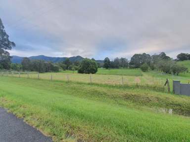 Farm Sold - NSW - Bonville - 2450 - The Perfect Country Lifestyle  (Image 2)