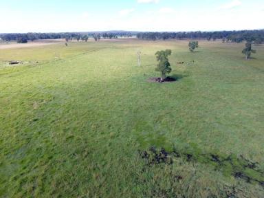 Farm Sold - NSW - Mongogarie - 2470 - VERSATILE AND OPPORTUNITIES GALORE  (Image 2)