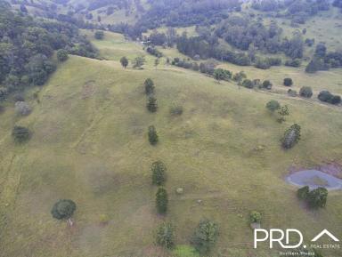 Farm Sold - NSW - Rock Valley - 2480 - Build Your Dream Home with Stunning Views  (Image 2)