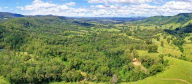 Farm Sold - NSW - Krambach - 2429 - 100 Acres with Scenic valley views  (Image 2)