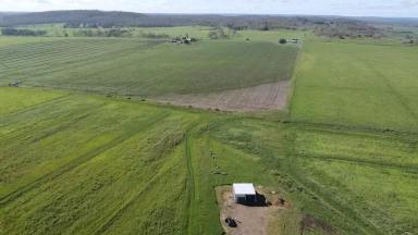 Farm Sold - QLD - McIlwraith - 4671 - A Farming Bargain 23.15 hectares/56+ acres  (Image 2)