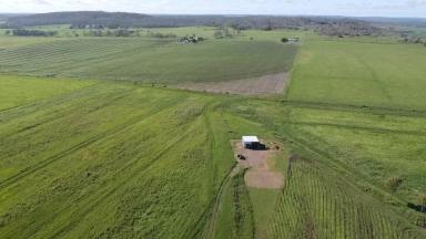 Farm Sold - QLD - McIlwraith - 4671 - A Farming Bargain 23.15 hectares/56+ acres  (Image 2)