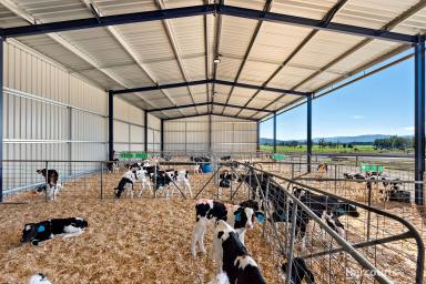 Farm Sold - VIC - Labertouche - 3816 - Outstanding Dairy Opportunity  (Image 2)