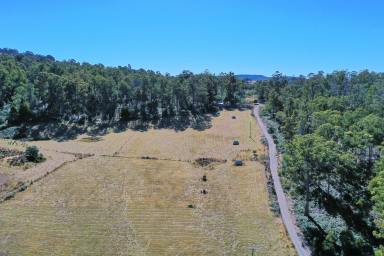 Farm Sold - TAS - Colebrook - 7027 - Magical Property - Approximately 92 Acres  (Image 2)