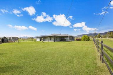 Farm Sold - NSW - Scone - 2337 - Equine Gem Minutes from Town  (Image 2)