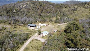 Farm Sold - NSW - Bullio - 2575 - Lifestyle Retreat!  (Image 2)