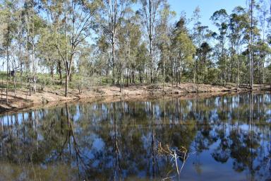 Farm Sold - QLD - Bauple - 4650 - Somewhere to Start  (Image 2)