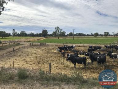 Farm Sold - VIC - Kyabram - 3620 - Highly Efficient Dairy or Beef Operation  (Image 2)