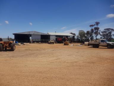 Farm Sold - WA - Gairdner - 6337 - Investment Farm with Lease in Place  (Image 2)
