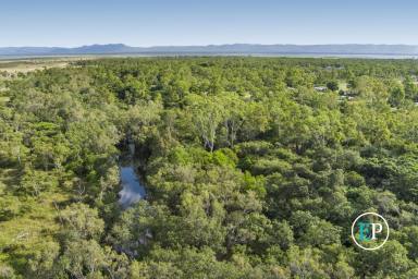 Farm Sold - QLD - Oak Valley - 4811 - SOLD By Mal Charlwood  (Image 2)