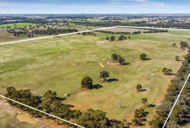Farm Sold - VIC - Goornong - 3557 - Rural Living Zoned Parcel of Land Ready for Subdivision  (Image 2)
