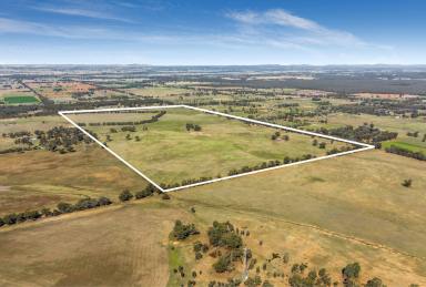 Farm Sold - VIC - Goornong - 3557 - Rural Living Zoned Parcel of Land Ready for Subdivision  (Image 2)