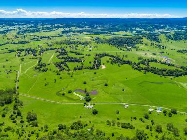 Farm Sold - NSW - Blakebrook - 2480 - River Front - Prime Grazing Land  (Image 2)