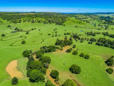 Farm Sold - NSW - Blakebrook - 2480 - River Front - Prime Grazing Land  (Image 2)