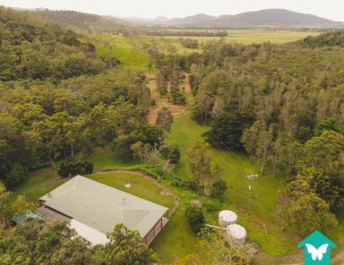 Farm Sold - QLD - Gregory River - 4800 - SOLD BY BUTTERFLY REALTY GROUP  (Image 2)