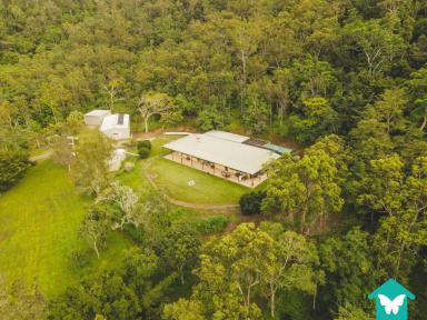 Farm Sold - QLD - Gregory River - 4800 - SOLD BY BUTTERFLY REALTY GROUP  (Image 2)